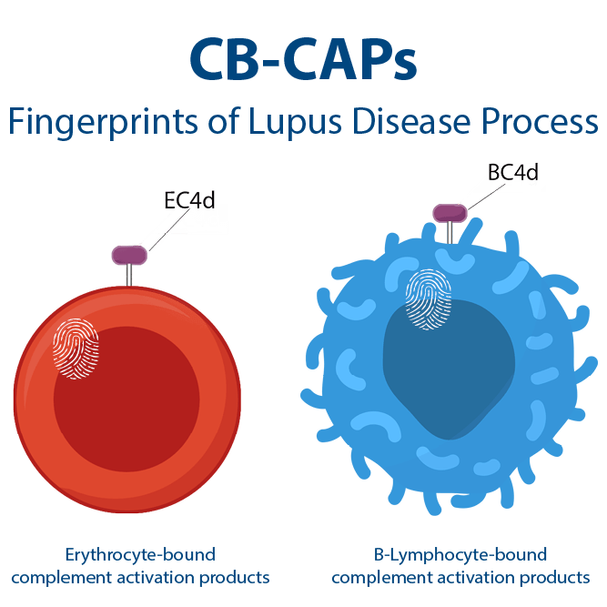 cb-caps-lupus-diagnosis