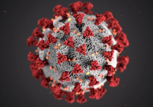 coronavirus-lupus